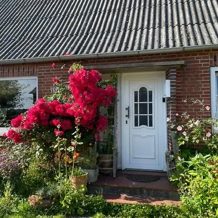 Ostseekoje-ewig, Gemuetliche In Ruhiger Lage 아파트