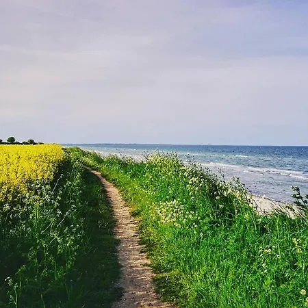 Ostseekoje-ewig, Gemuetliche In Ruhiger Lage 아파트 스토테불